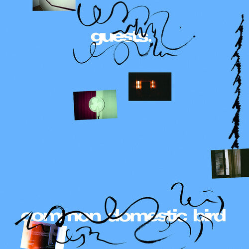 Guests - (PRESALE 6/12/26) Common Domestic Bird (VINYL) | Mint (M) Mint (M) - ALT/INDIE *NEW*