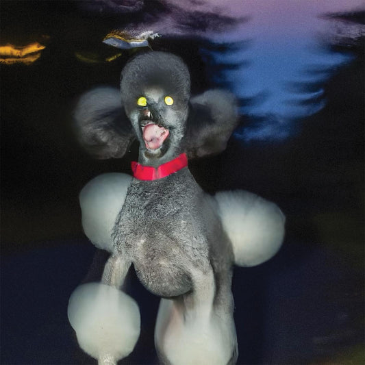 Hit Bargain - A DOG A DEER A SEAL | - ALT/INDIE *NEW*