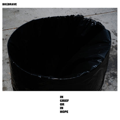 (PRE ORDER 6/5/26) in grief or in hope (VINYL) | Mint (M) Mint (M) - ALT/INDIE *NEW*