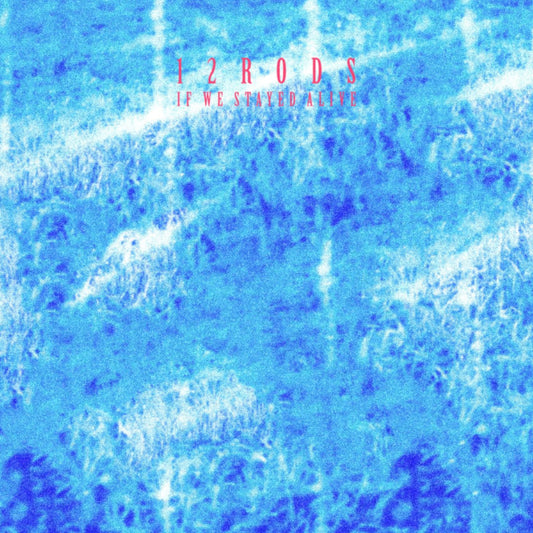 12 Rods - If We Stayed Alive | - ALT/INDIE *NEW*