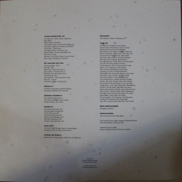 The New Pornographers - Together | Mint (M) Mint (M) - ALT/INDIE *NEW*