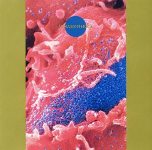 Death Ambient - Synaesthesia (CD) | Mint (M) Mint (M) - ALT/INDIE *NEW*