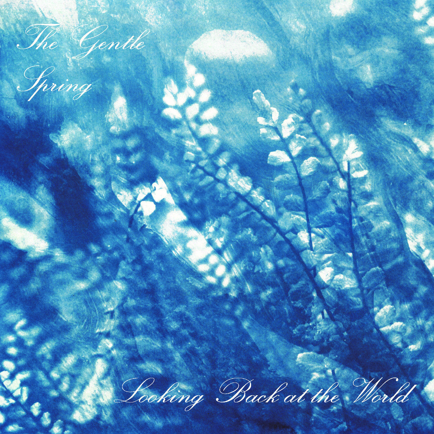 Gentle Spring, The - Looking Back At The World (INDIE EXCLUSIVE) (CD) | - ALT/INDIE *NEW*