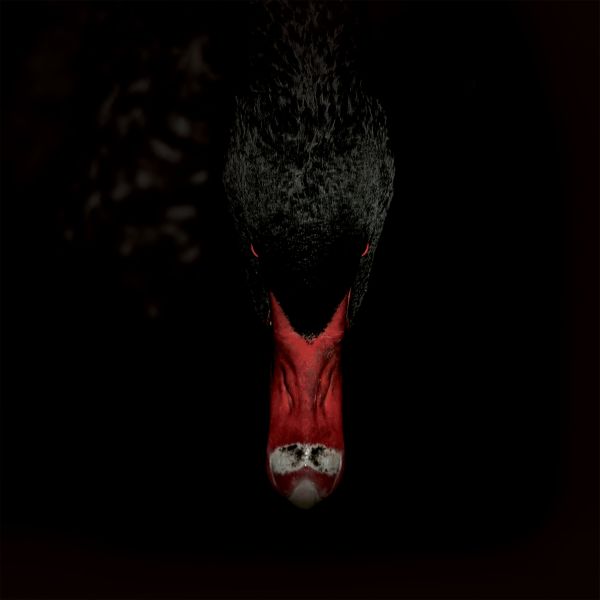 Sankt Otten + N - Mannerfreundschaften und Metaphysik (CD) | Mint (M) Mint (M) - ALT/INDIE *NEW*