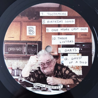 Twin Plagues (VINYL) | Mint (M) Mint (M) - ALT/INDIE *NEW*