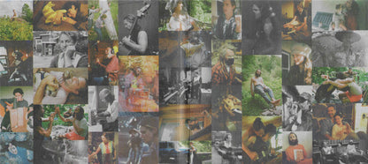 Dragon New Warm Mountain I Believe In You (CD) | - ALT/INDIE *NEW*