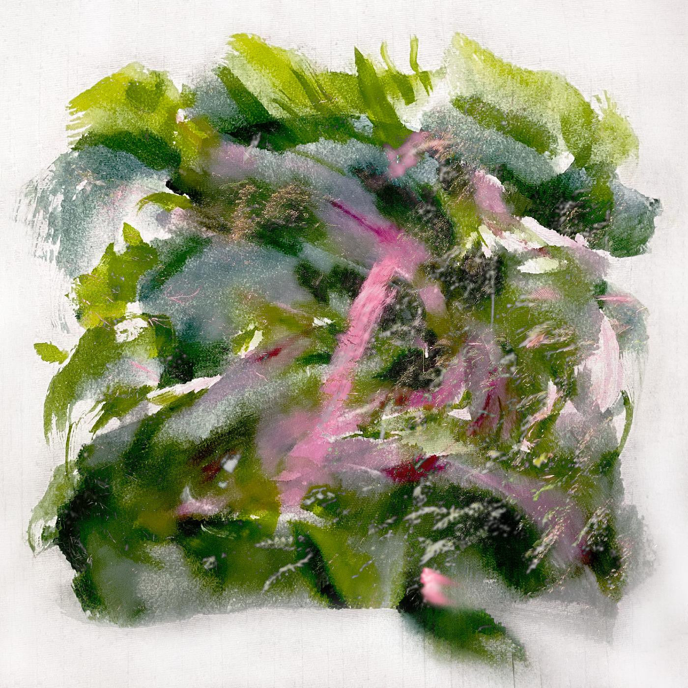 MIZU - Forest Scenes (COLOR-IN-COLOR LIGHT PINK & RED VINYL) | - ALT/INDIE *NEW*