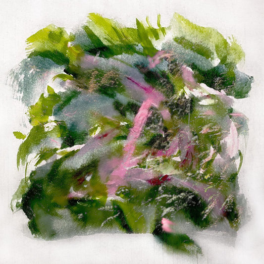 MIZU - Forest Scenes (COLOR-IN-COLOR LIGHT PINK & RED VINYL) | - ALT/INDIE *NEW*