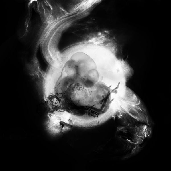 Saffronkeira - Saffronkeira (Vinyl) | Mint (M) Mint (M) - ALT/INDIE *NEW*