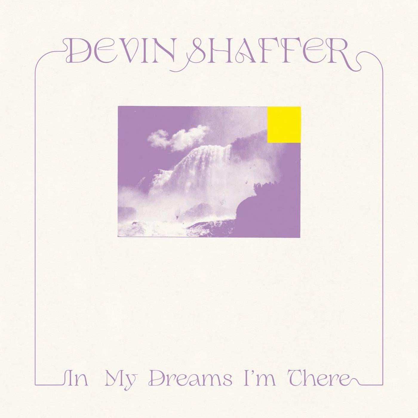Shaffer, Devin - In My Dreams I'm There (CD) | - ALT/INDIE *NEW*