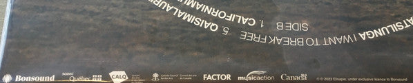 Inuktitut (VINYL) | Mint (M) Mint (M) - ALT/INDIE *NEW*