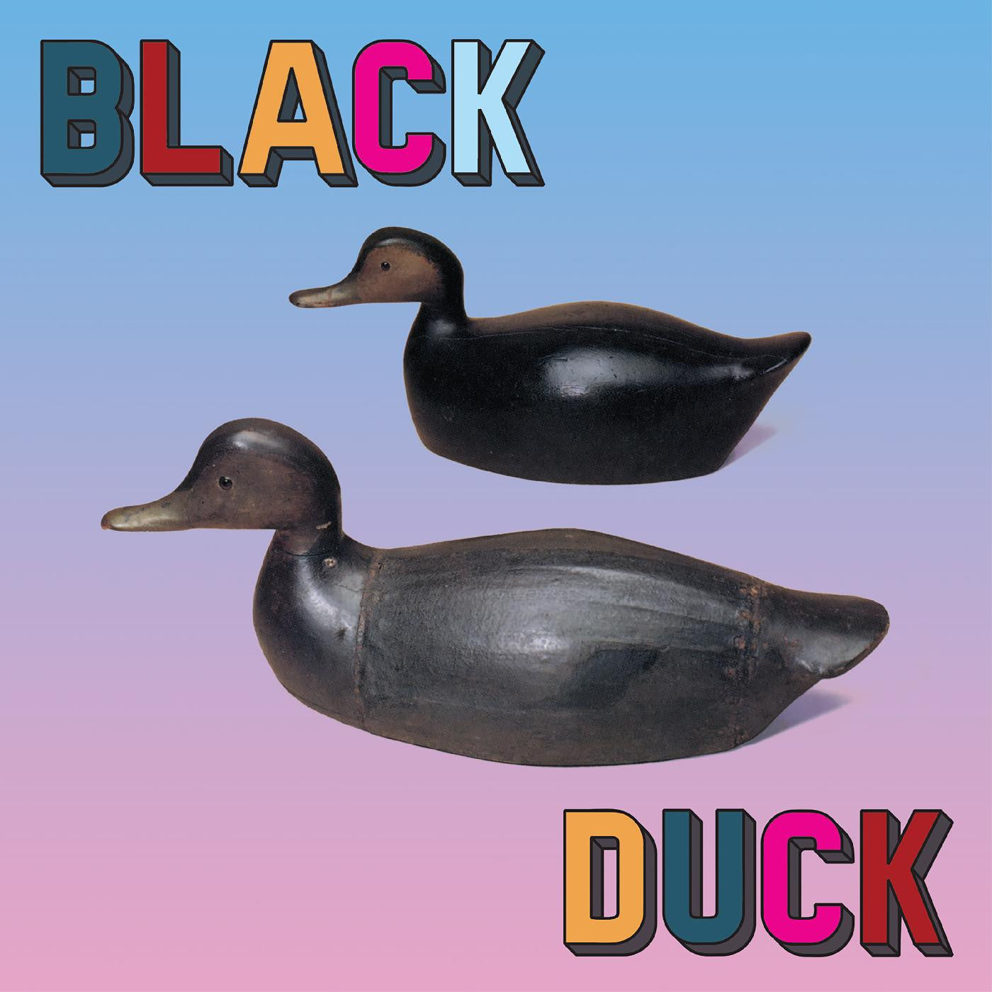 Black Duck - Black Duck (CD) | - ALT/INDIE *NEW*