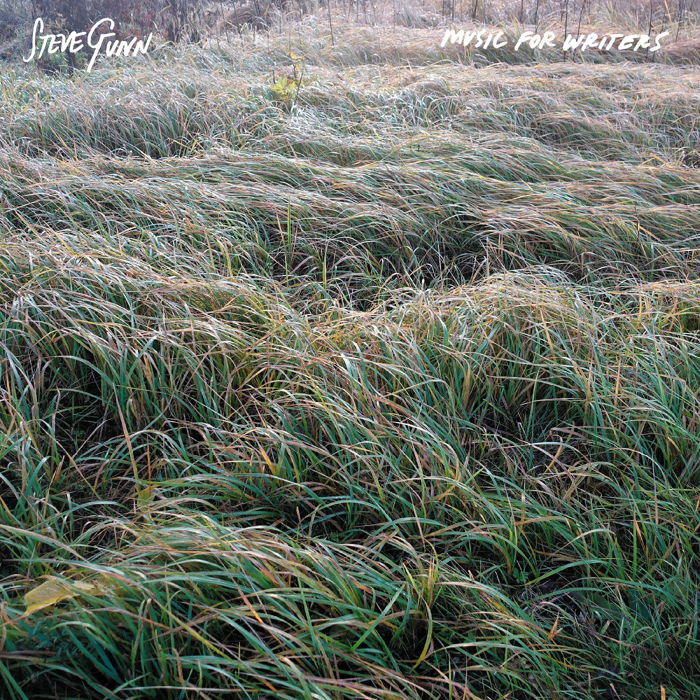 Gunn, Steve - Music For Writers | - ALT/INDIE *NEW*