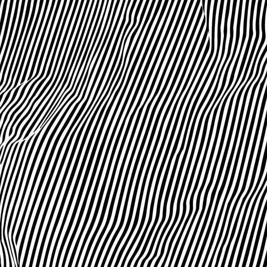 Animal Hospital - Fatique | - ALT/INDIE *NEW*