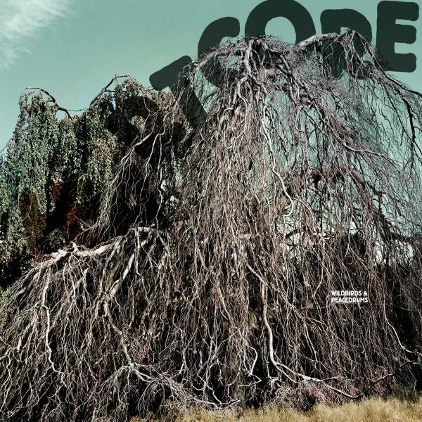 Wildbirds & Peacedrums - Heartcore (CD) | Mint Mint - ALT/INDIE *NEW*