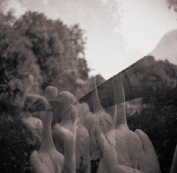 IAN A. ANDERSON - (PRESALE 12/11/26) Come On Everybody Let's Do Nothing (IMPORT VINYL LP) | NEW - ALT/INDIE *NEW*