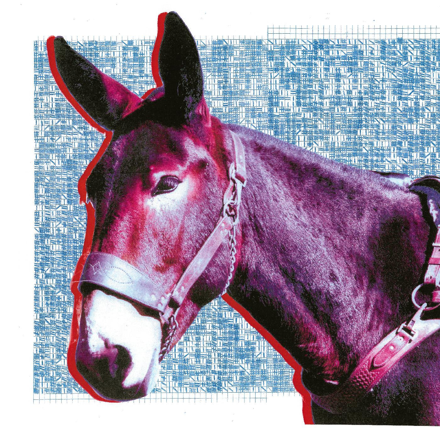 Protomartyr - Ultimate Success Today (CD) | - ALT/INDIE *NEW*