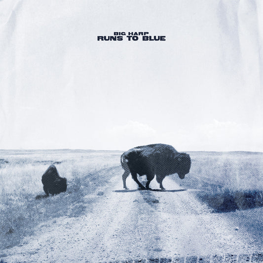 (PRE ORDER 3/27/26) Runs to Blue (BLUE VINYL) | - ALT/INDIE *NEW*