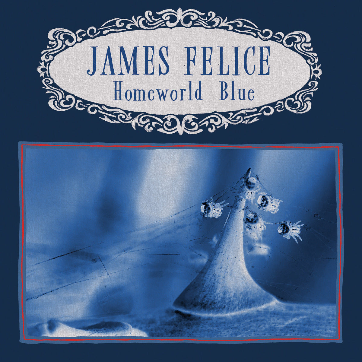 James Felice - (PRESALE 11/13/26) Homeworld Blue (BLACK ICE VINYL LP) | NEW - ALT/INDIE *NEW*