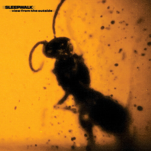 Sleepwalk - (PRESALE 11/13/26) View From the Outside (VINYL LP) | NEW - ALT/INDIE *NEW*