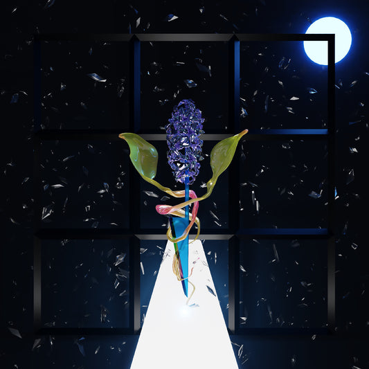 Thomas, Darian Donovan - A Room With Many Doors : Night | - ALT/INDIE *NEW*