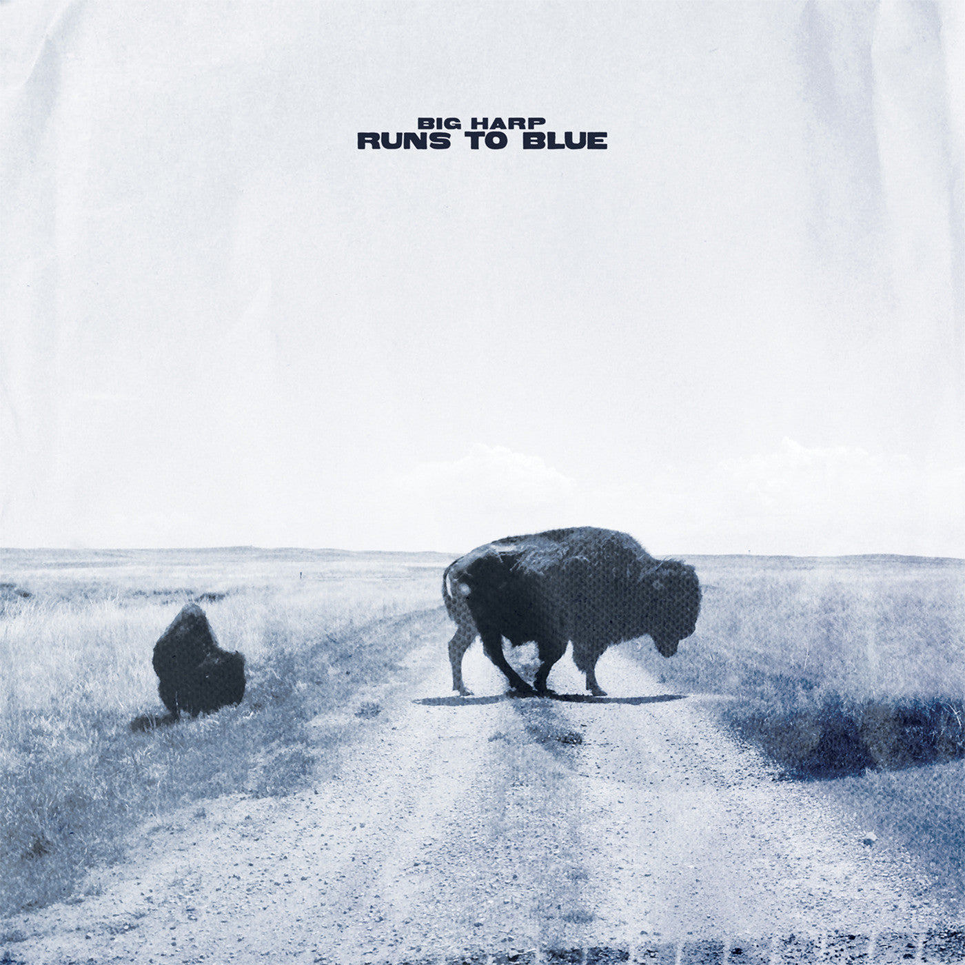 (PRE ORDER 3/27/26) Runs to Blue (CD) | - ALT/INDIE *NEW*