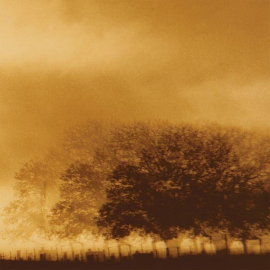 Infinite Light Ltd. - Infinite Light Ltd. (CD) | Mint (M) Mint (M) - ALT/INDIE *NEW*