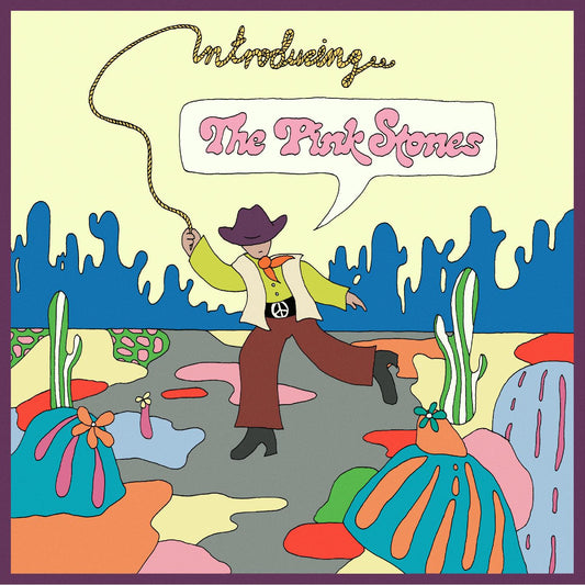 Pink Stones, The - Introducing...The Pink Stones (CD) | Mint Mint - ALT/INDIE *NEW*