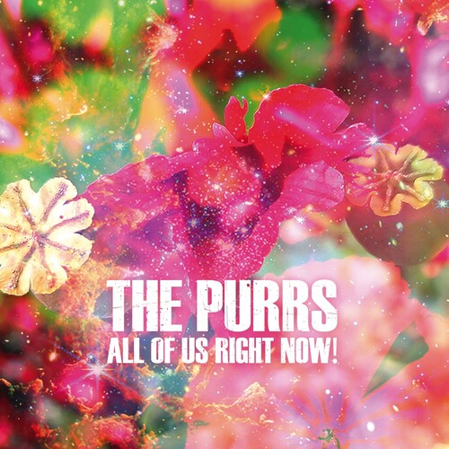 (PRESALE 5/22/26) All of Us Right Now! (VINYL) | Mint (M) Mint (M) - ALT/INDIE *NEW*