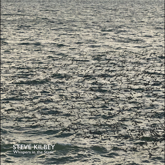 Kilbey, Steve - Whispers In The Static (GRAY VINYL) | - ALT/INDIE *NEW*