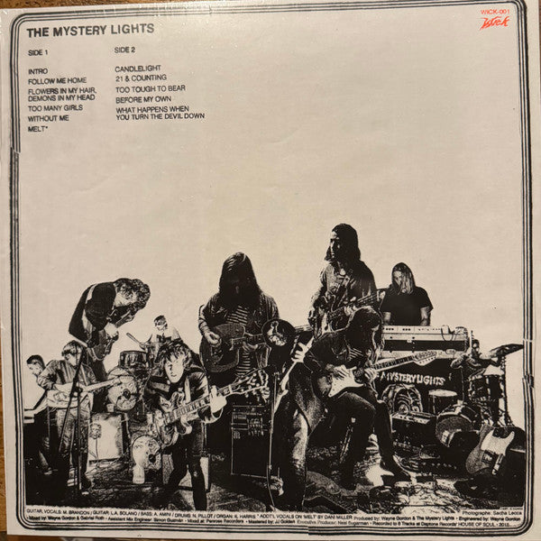 The Mystery Lights (VINYL) | - ALT/INDIE *NEW*