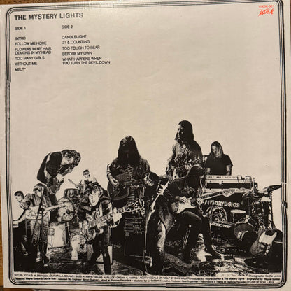 The Mystery Lights (VINYL) | - ALT/INDIE *NEW*