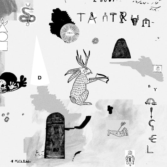 Nigel - Tantrum (Vinyl) | Mint (M) Mint (M) - ALT/INDIE *NEW*