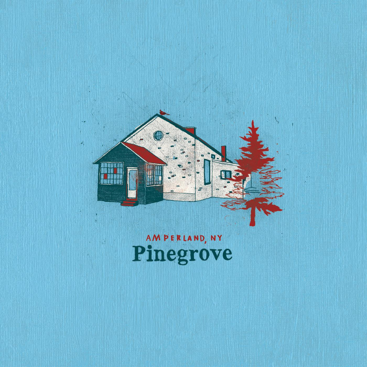 Pinegrove - Amperland, NY (CD) | Mint Mint - ALT/INDIE *NEW*
