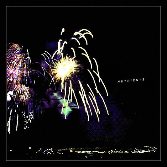 Nutrients - Different Bridges | - ALT/INDIE *NEW*