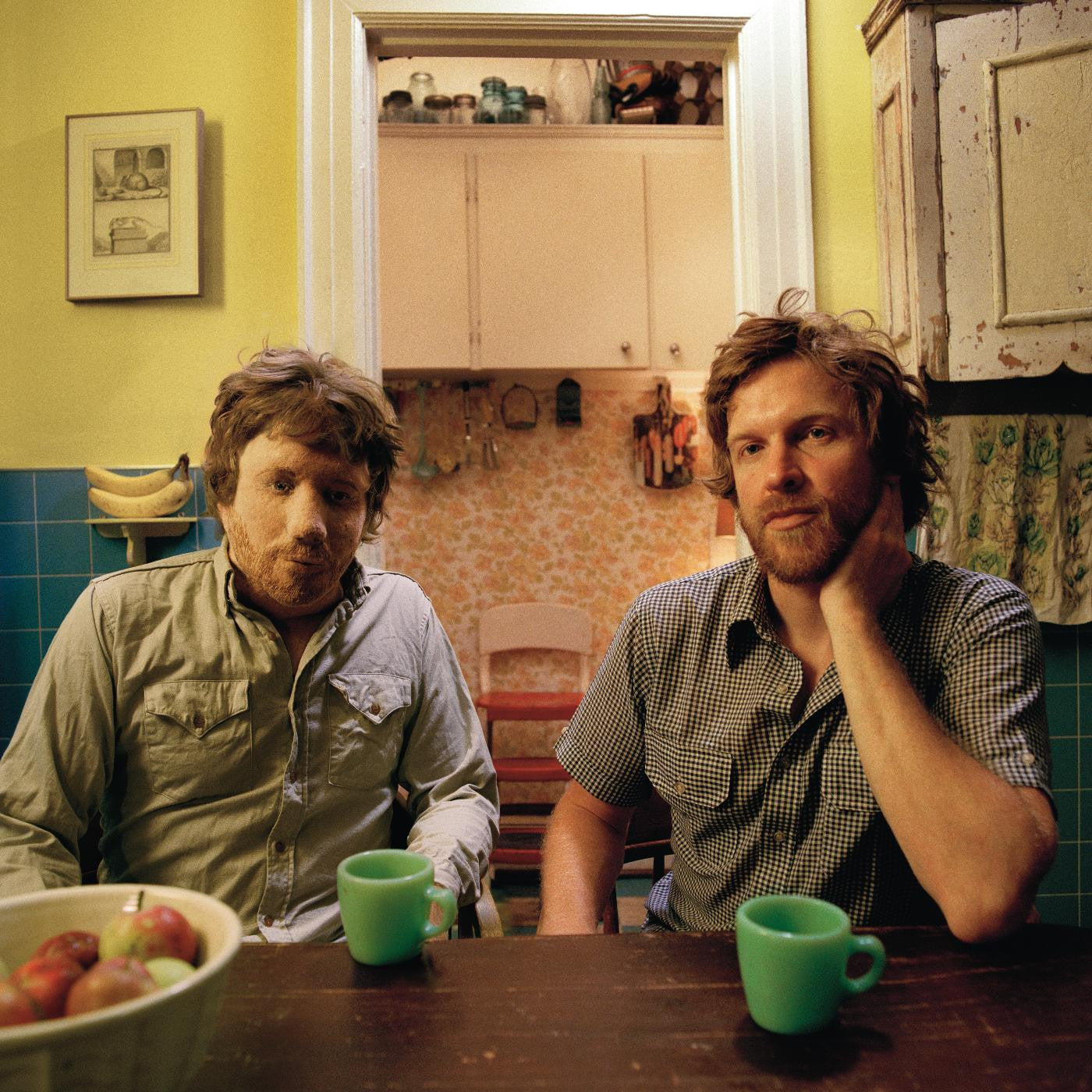 Paisley, Doug - Constant Companion (Vinyl) | - ALT/INDIE *NEW*