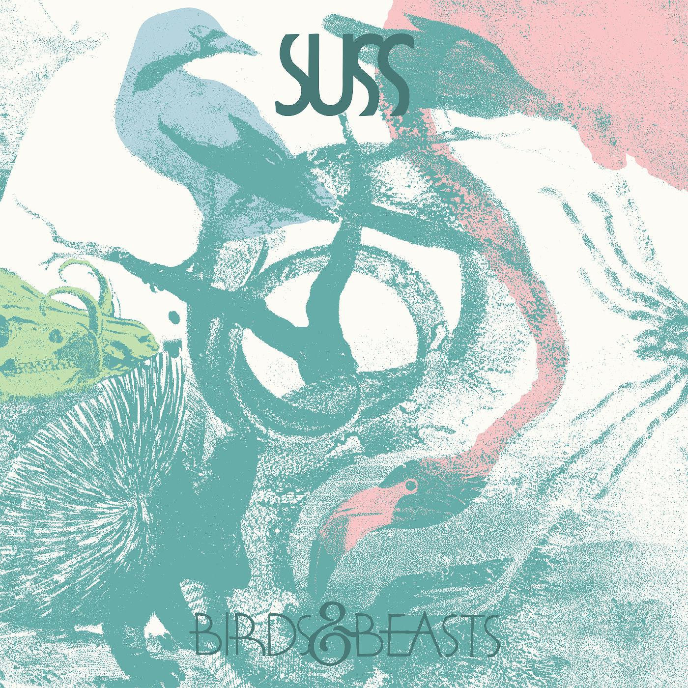 SUSS - Birds & Beasts (YELLOW & PINK VINYL) (Vinyl) | - ALT/INDIE *NEW*