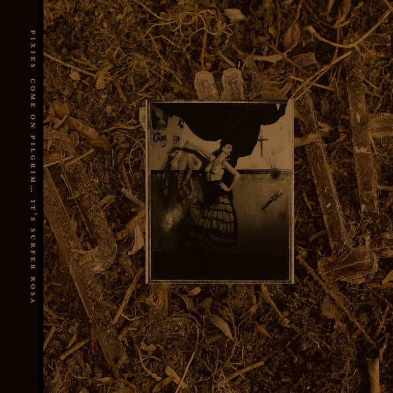Come On Pilgrim... It's Surfer Rosa: 30th Anniversary (GOLD VINYL) | Mint (M) Mint (M) - ALT/INDIE/ROCK *SEALED/COLOR*