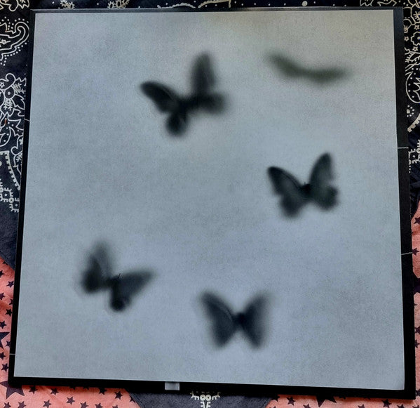 Dreamweaver (CRYSTAL CLEAR VINYL) | Mint (M) Mint (M) - ALT/INDIE *SEALED/CLEAR*