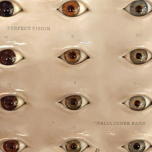 Thalia Zedek Band - Perfect Vision (VINYL LP) | NEW Mint (M) Mint (M) - ALT/INDIE *SEALED/COLOR*