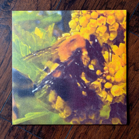 Natural Pleasure (TRANSLUCENT GREEN VINYL) | Mint (M) Mint (M) - ALT/INDIE *SEALED/COLOR*
