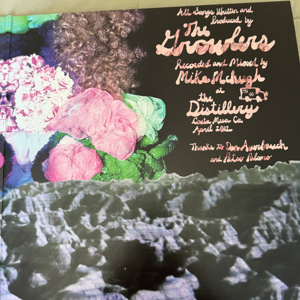 Hung at Heart (2xVINYL) | Mint (M) Mint (M) - ALT/INDIE *SEALED/COLOR*