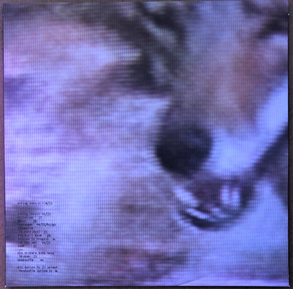 The Devil And God Are Raging Inside Me | Mint (M) Mint (M) - ALT/INDIE *SEALED*