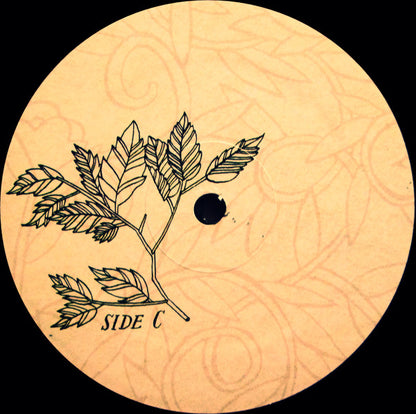 Picaresque | Mint (M) Mint (M) - ALT/INDIE *SEALED*