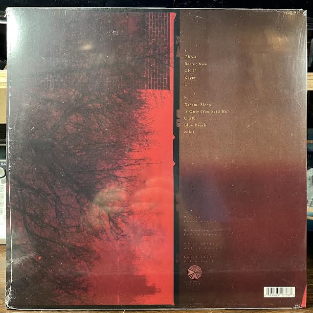 What Happens After (VINYL) | Mint (M) Mint (M) - ALT/INDIE *SEALED*