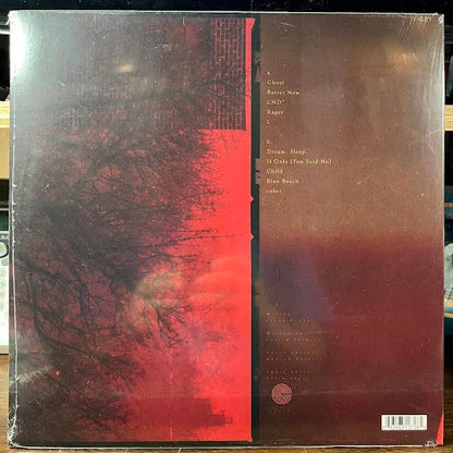 What Happens After (VINYL) | Mint (M) Mint (M) - ALT/INDIE *SEALED*