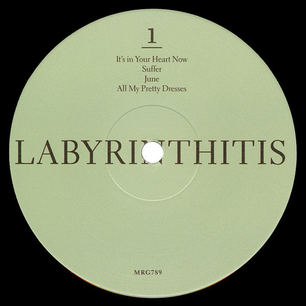 Destroyer (4) - Labyrinthitis | Mint (M) Mint (M) - ALT/INDIE *SEALED*