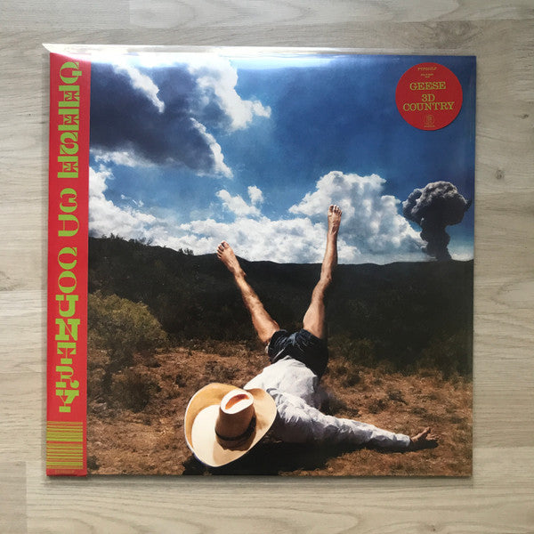 3D Country (VINYL) | - ALT/INDIE *SEALED*