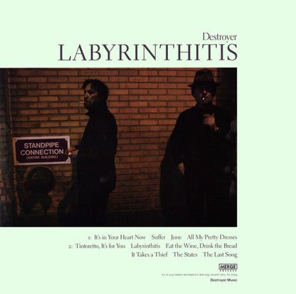 Destroyer (4) - Labyrinthitis | Mint (M) Mint (M) - ALT/INDIE *SEALED*