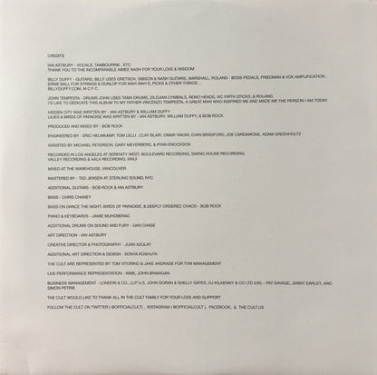 Hidden City (2xVINYL) | Mint (M) Mint (M) - ALT/INDIE *SEALED*